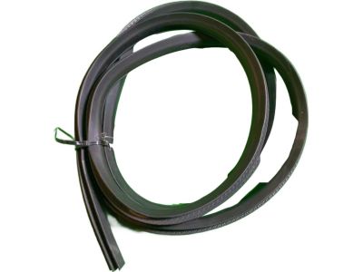 Mopar 1DZ08XXXAE WEATHERSTRIP-Rear Door Body Mounted
