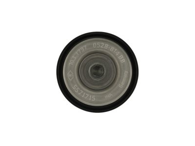Jeep 5281818AB