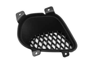 2014 Dodge Viper Grille - 68141068AA