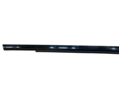 Mopar 68257255AE Rear Door Belt Outer