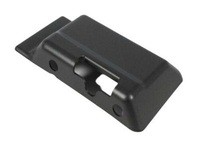 Mopar 55395100AA Cover-TAILGATE Latch