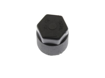 Jeep Wrangler A/C Service Cap - 5101913AA