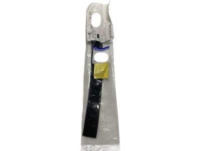 Mopar 68349628AC Check-Front Door