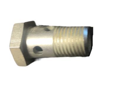 Mopar 68148137AA Bolt-Banjo