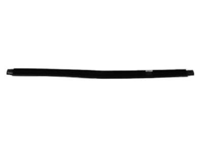 Mopar 55362204AE Seal-Rear Door