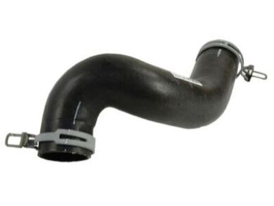 2009 Dodge Dakota Radiator Hose - 52029284AF