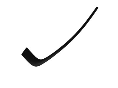 Mopar 57010507AF APPLIQUE-Rear Door