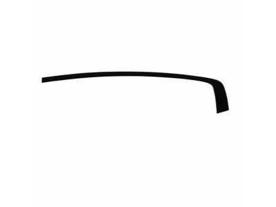 Mopar 57010507AF APPLIQUE-Rear Door