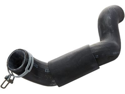 2002 Dodge Dakota Radiator Hose - 52028813AC