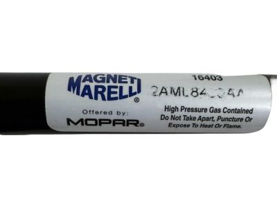 Chrysler 2AML8430AA