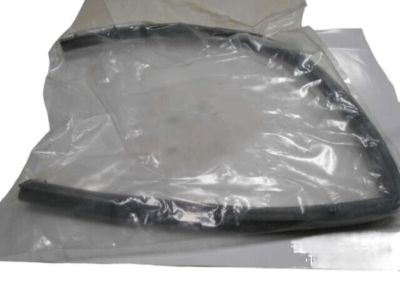 Dodge Intrepid Weather Strip - 4574395