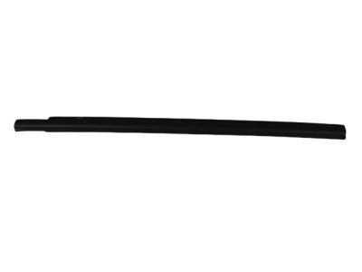 Mopar 4806139AA WEATHERSTRIP-Front Door Belt