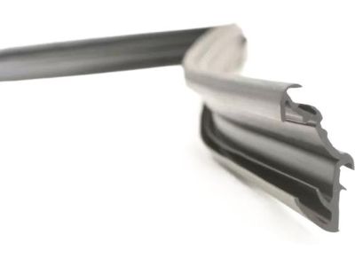 Mopar 55399191AE WEATHERSTRIP-Front Door Glass Run