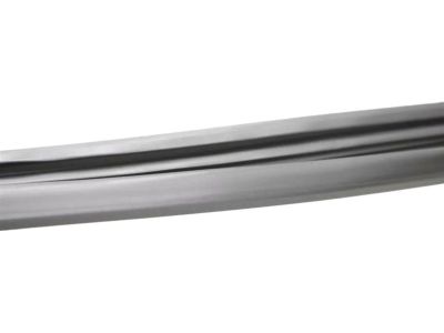 Mopar 55399191AE WEATHERSTRIP-Front Door Glass Run