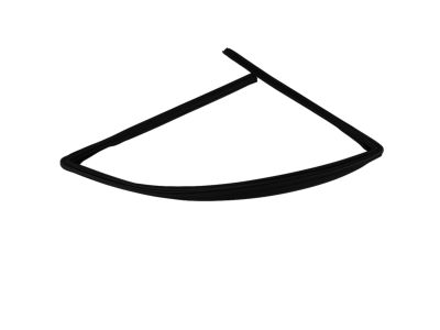 Mopar 55399191AE WEATHERSTRIP-Front Door Glass Run