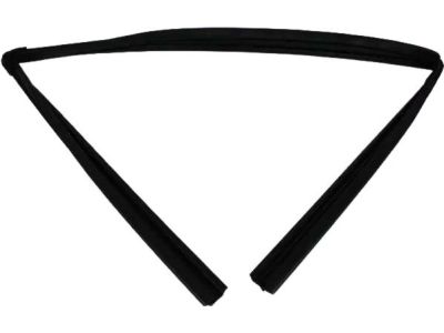 Mopar 55399191AE WEATHERSTRIP-Front Door Glass Run