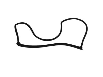 Mopar 5008880AC WEATHERSTRIP-Rear Door Mounted