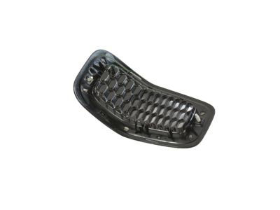 Mopar 6CY39DX8AC Grille-Radiator