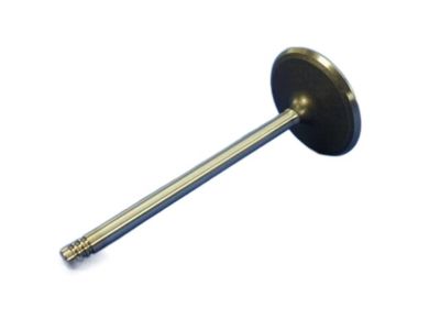 Ram 2500 Intake Valve - 5045487AB