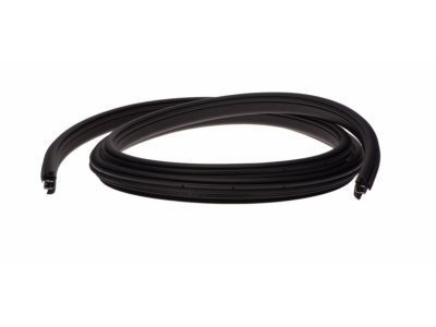 Ram Dakota Weather Strip - 55359711AI