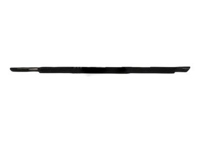 Mopar 4806060AE WEATHERSTRIP-Front Door Belt