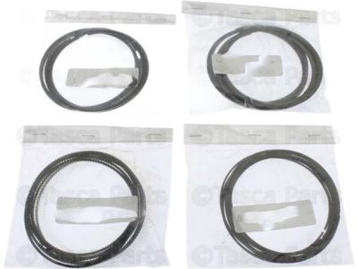 Dodge Charger Piston Ring Set - 68262329AB