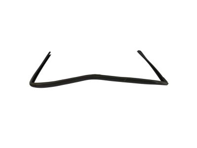 Mopar 68040038AC WEATHERSTRIP-Front Door Glass