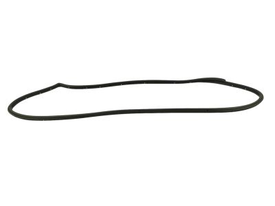 2015 Jeep Grand Cherokee Weather Strip - 55399213AC