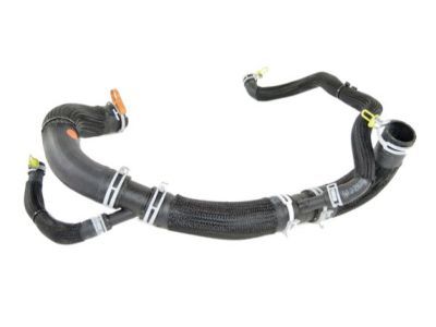 Dodge Radiator Hose - 68248846AF