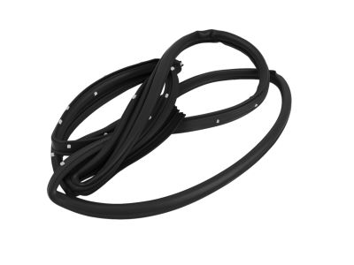 Dodge Durango Weather Strip - 55399185AC