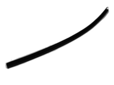 Dodge Ram 1500 Weather Strip - 55397600AC