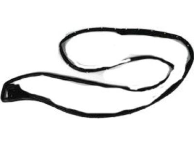 2020 Ram 4500 Door Seal - 55369285AF