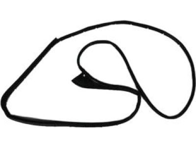 2020 Ram 4500 Door Seal - 55369285AF