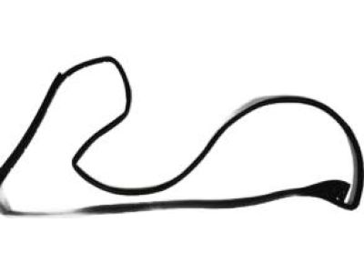 2020 Ram 4500 Door Seal - 55369285AF