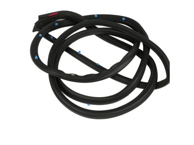 2012 Dodge Charger Weather Strip - 68040045AH