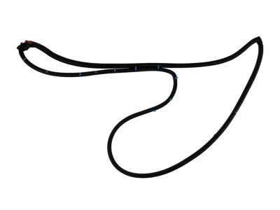 Mopar 68040045AH WEATHERSTRIP-Front Door Mounted