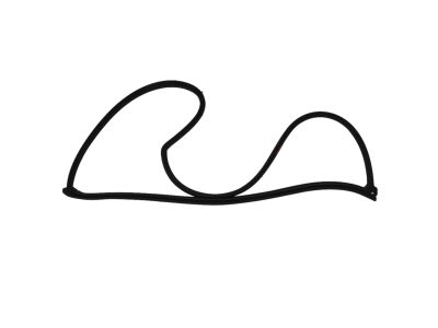 Mopar 5074512AC WEATHERSTRIP-Front Door Mounted