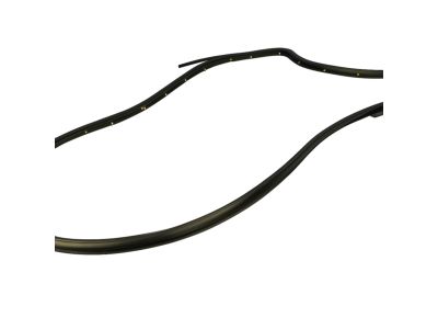 Mopar 55399214AE WEATHERSTRIP-Rear Door Opening