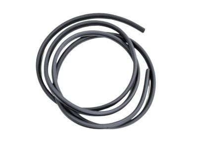 2020 Ram ProMaster 3500 Door Seal - 68226113AA