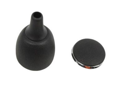 Ram Shift Knob - 1RV42DX9AB