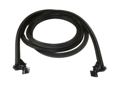 2017 Ram ProMaster 3500 Door Seal - 68229637AC