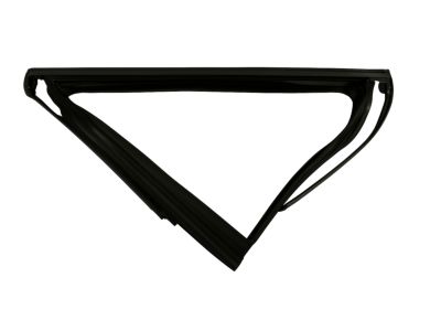 2015 Jeep Cherokee Weather Strip - 68156229AC