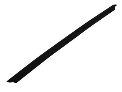 2011 Dodge Nitro Weather Strip - 55360933AC