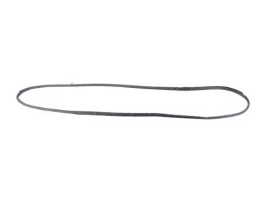 2020 Jeep Renegade Door Seal - 68420171AA