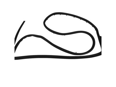 Dodge Charger Weather Strip - 68040047AK