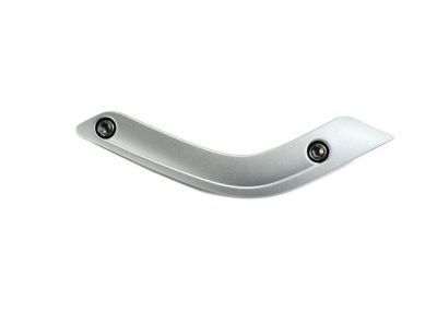 Mopar 1RE66JSLAE Bezel-Grab Handle