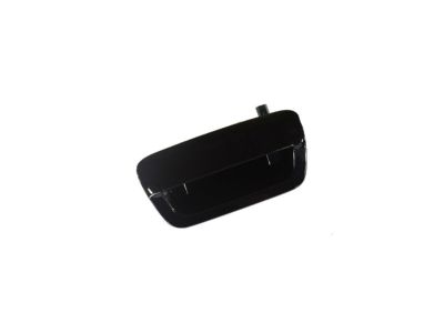 Dodge Tailgate Handle - 1YK38SHRAE