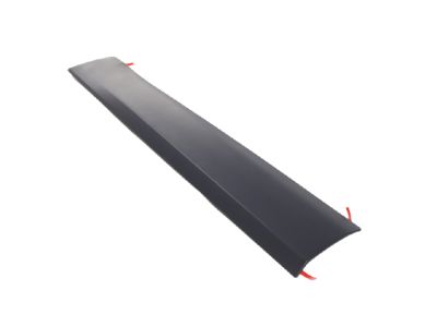 2022 Jeep Cherokee Door Moldings - 6VX62TZZAC