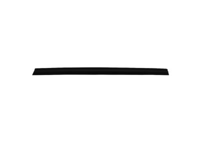 Mopar 5074655AD WEATHERSTRIP-Front Door Belt