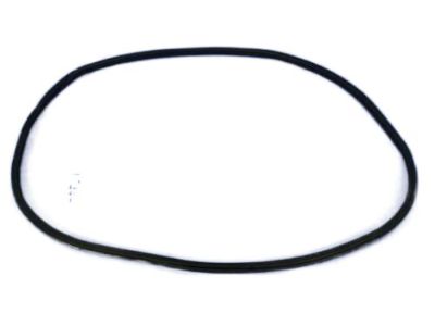 Mopar 68145007AB WEATHERSTRIP-Front Door Body Mounted